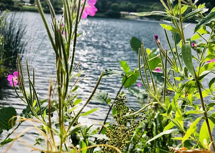 Ferienwohung Auszeit Am Eifelsteig Apartamento